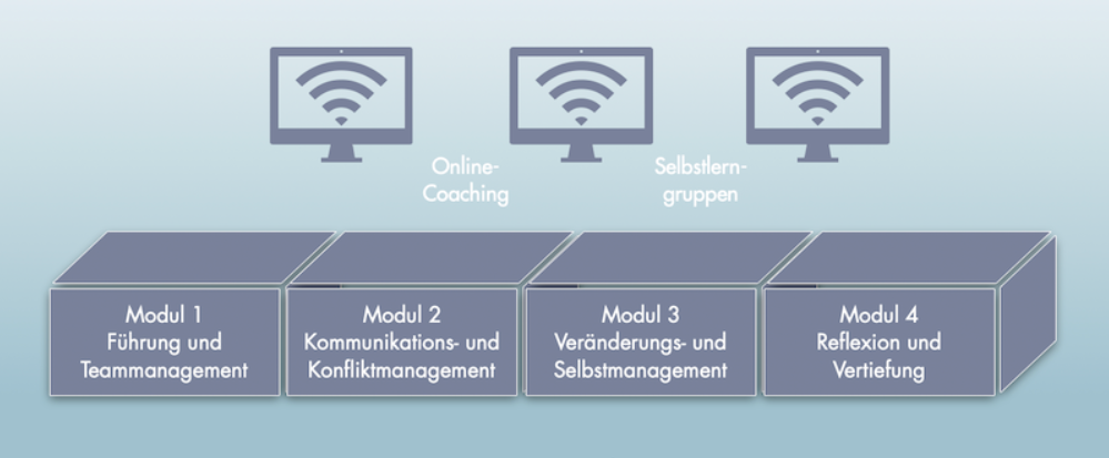 Module des Führungskräfteentwicklungsprogramms Module des Führungskräfteentwicklungsprogramms